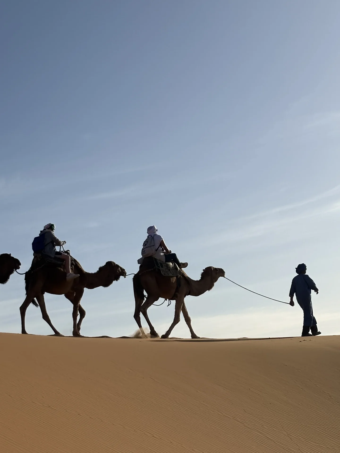 Golden sand dunes of Erg Chebbi
