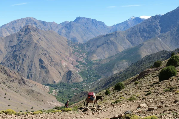 Atlas Hiking